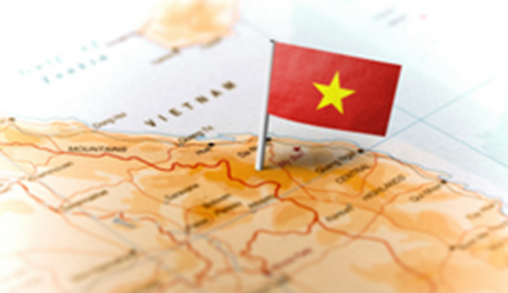 Country focus report: Vietnam